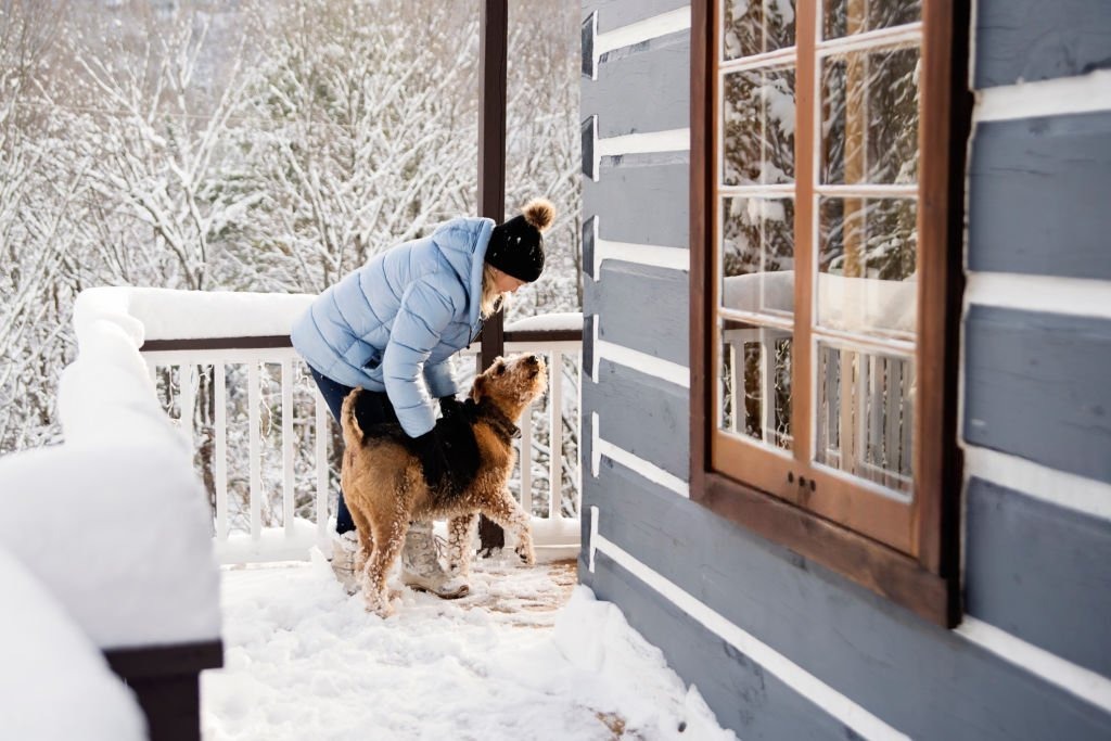 Person greeting a dog outside a cottage during an extended winter stay.