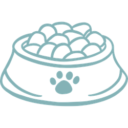 Feeding routine icon
