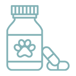 Medication icon