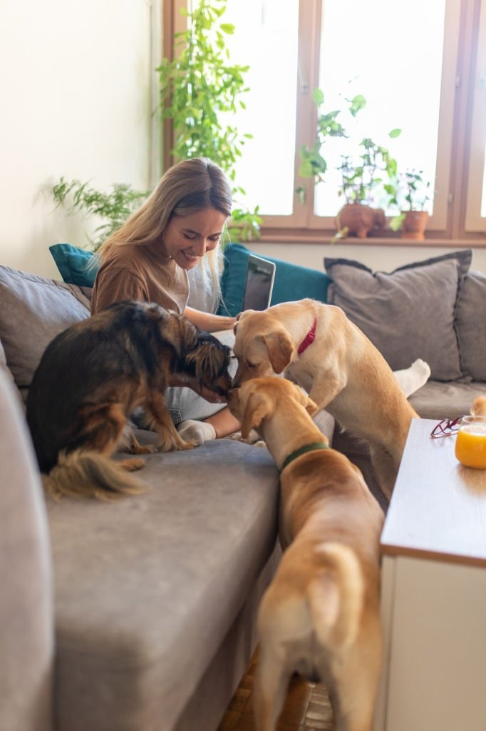 Woman spending quality time with several dogs in the comfort of their home during a weekend getaway.